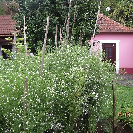 Holiday home Holiday Casa Rosa Sao Goncalo